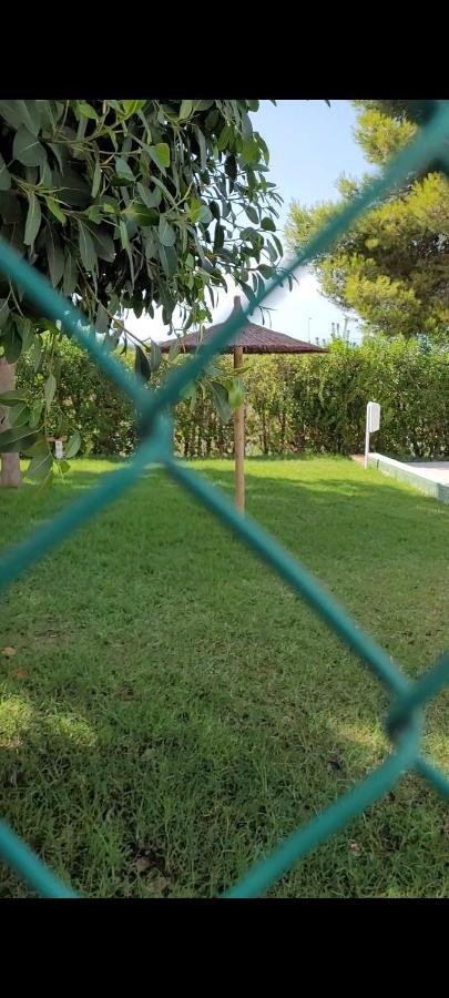 Apartamento Bajo Con Terraza Y Piscina Torrevieja Eksteriør billede