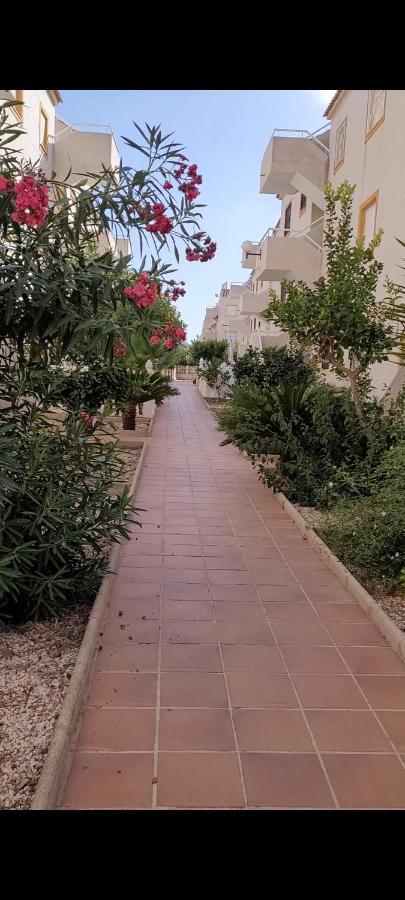Apartamento Bajo Con Terraza Y Piscina Torrevieja Eksteriør billede