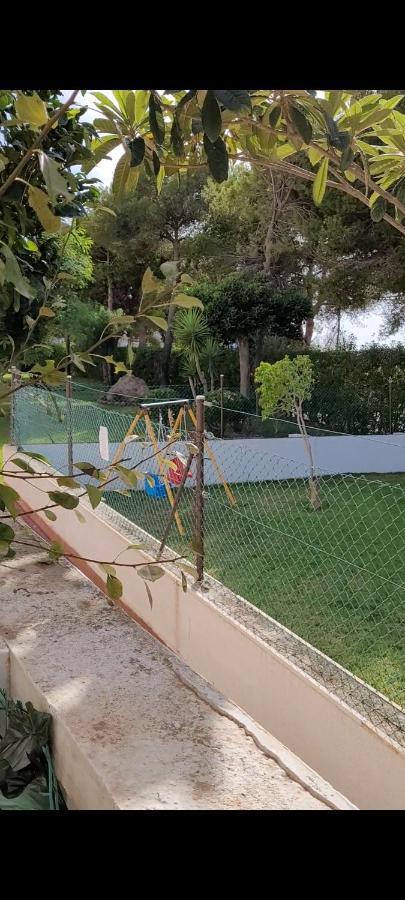 Apartamento Bajo Con Terraza Y Piscina Torrevieja Eksteriør billede