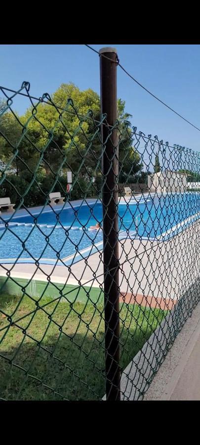 Apartamento Bajo Con Terraza Y Piscina Torrevieja Eksteriør billede