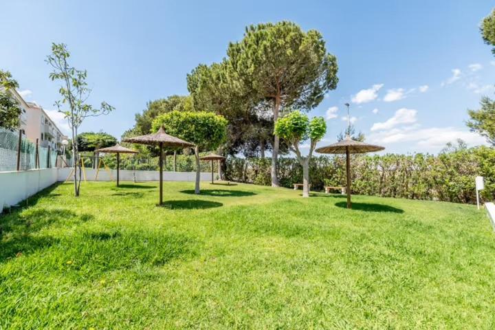 Apartamento Bajo Con Terraza Y Piscina Torrevieja Eksteriør billede